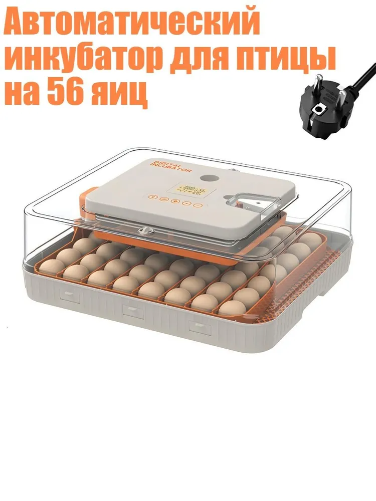 产品图片