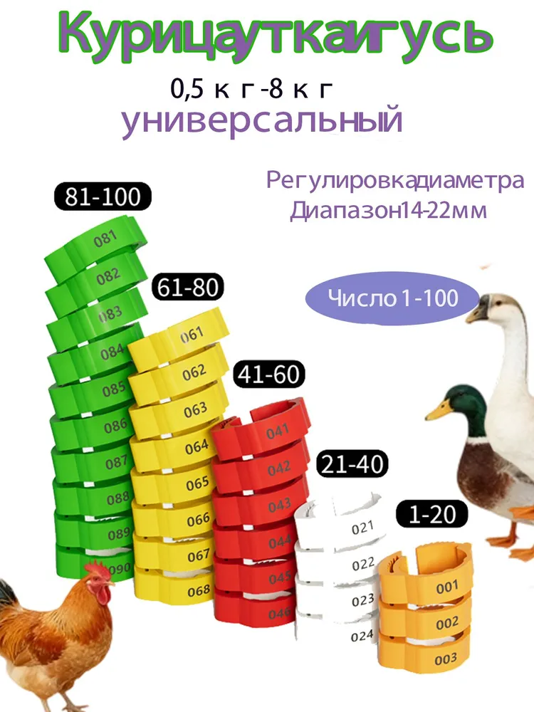 产品图片