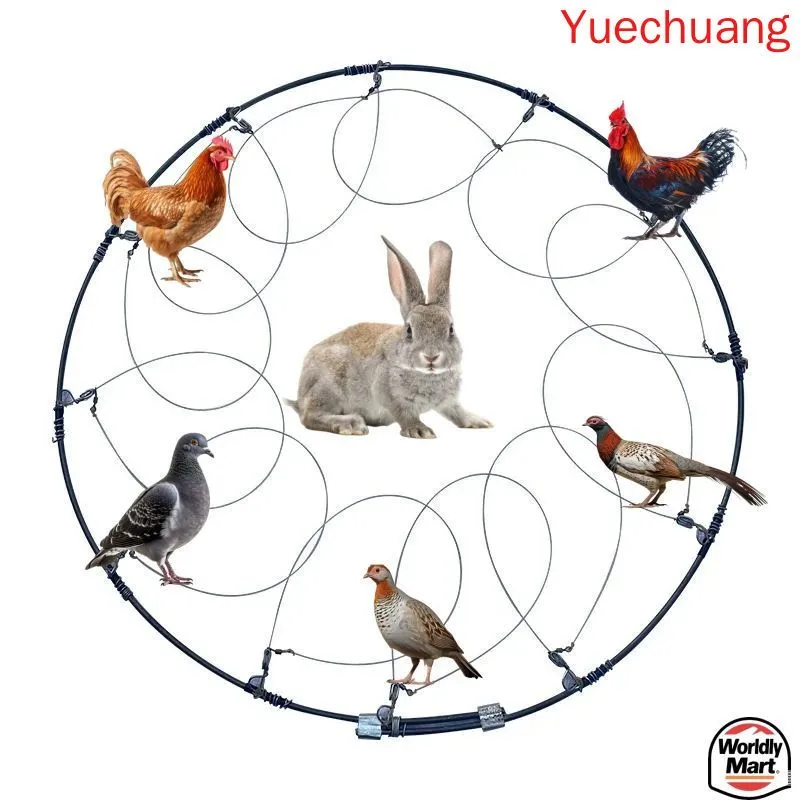 产品图片