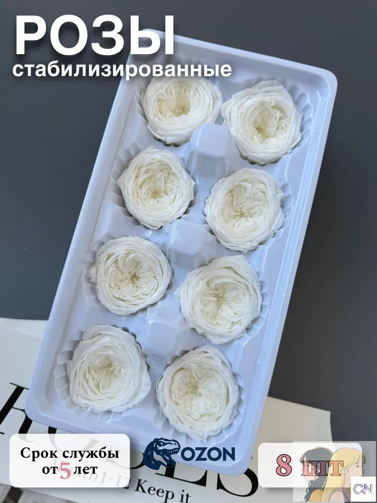 产品图片