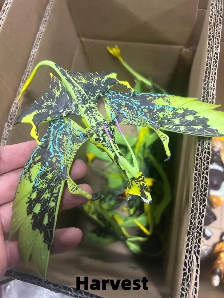 产品图片