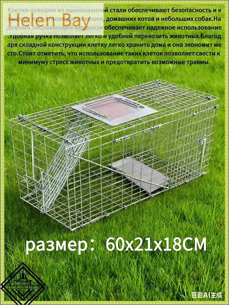 产品图片
