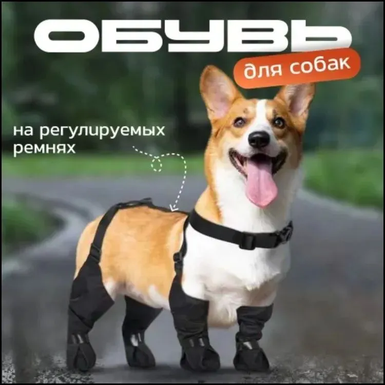 产品图片