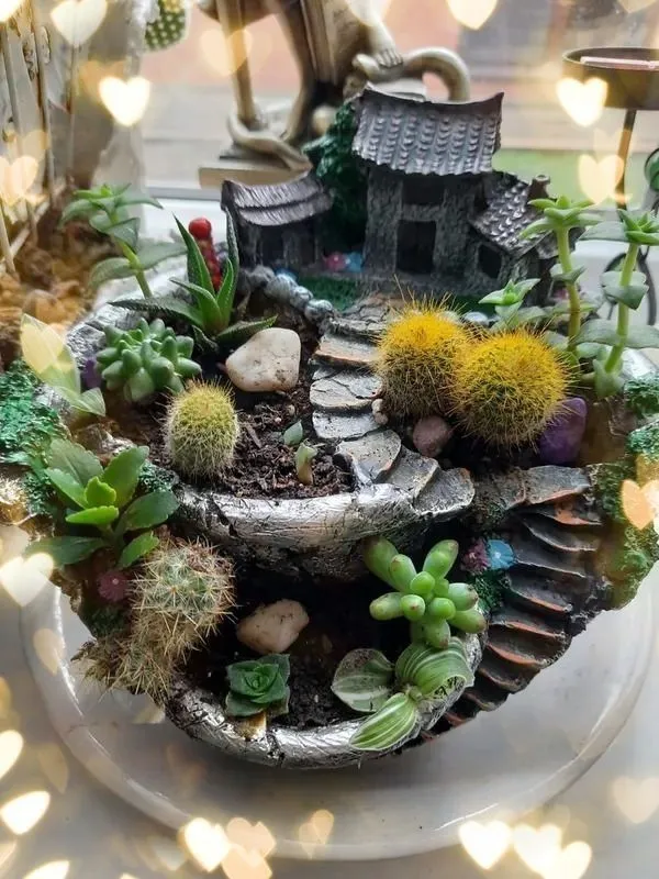 产品图片