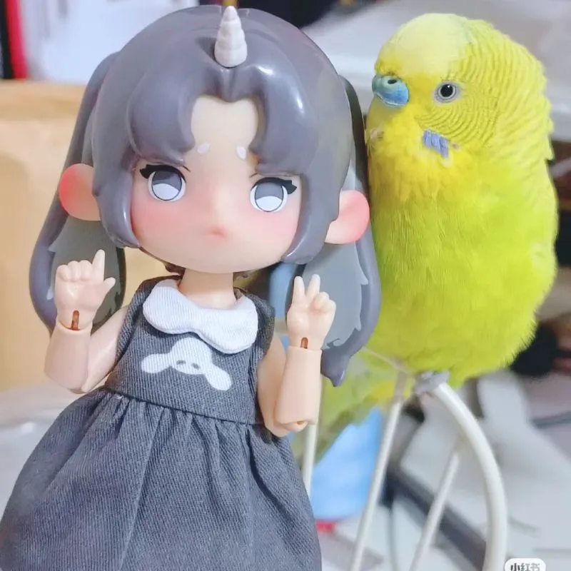 产品图片