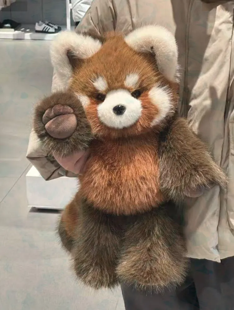 产品图片